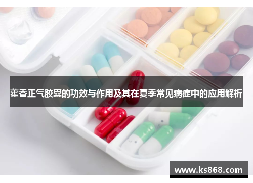 藿香正气胶囊的功效与作用及其在夏季常见病症中的应用解析